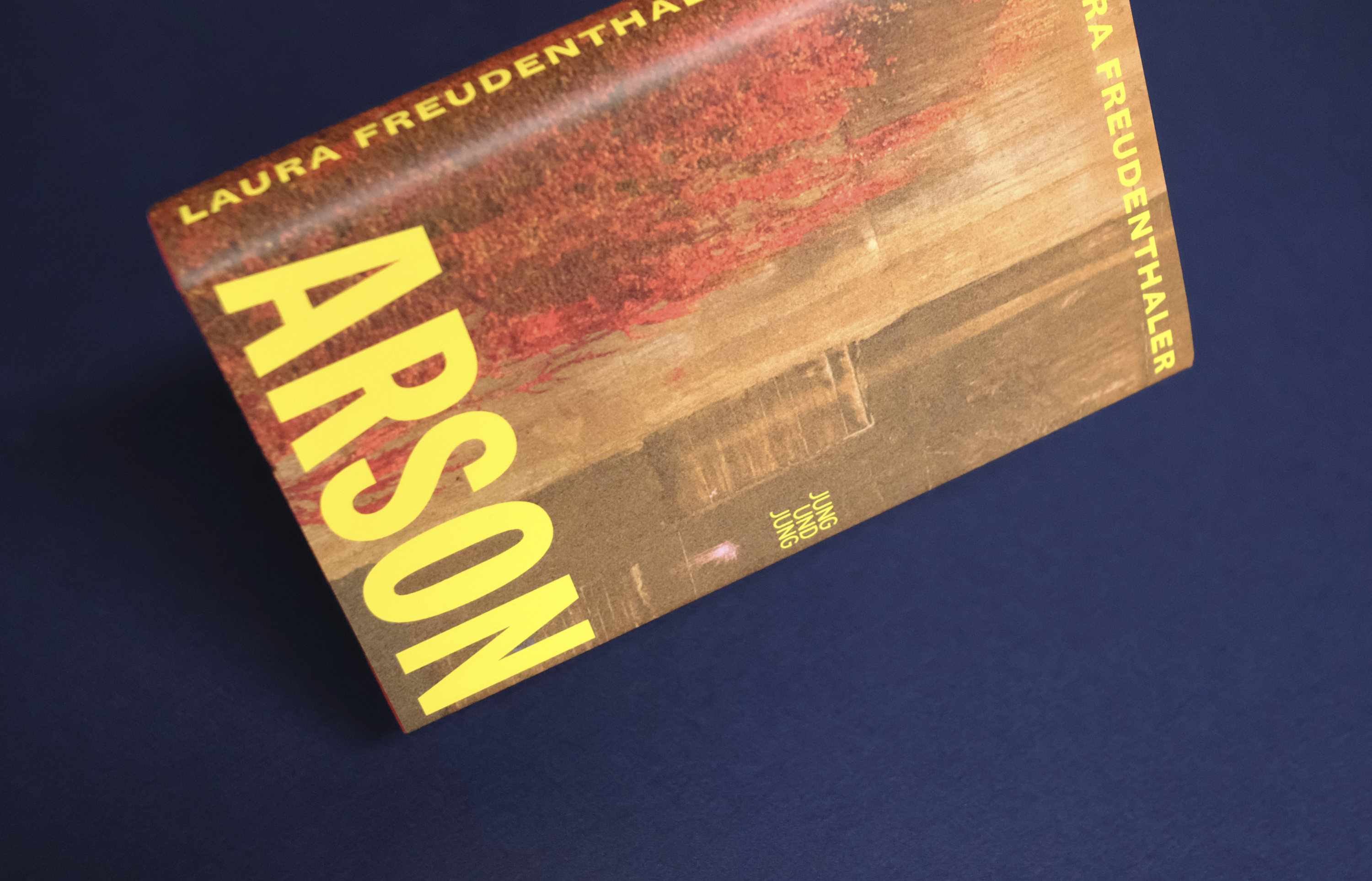 Front cover book: Photo of huge concrete wall. Partly virginia creeper in intense red tones growing on it. Title overlayed in bold yellow font.