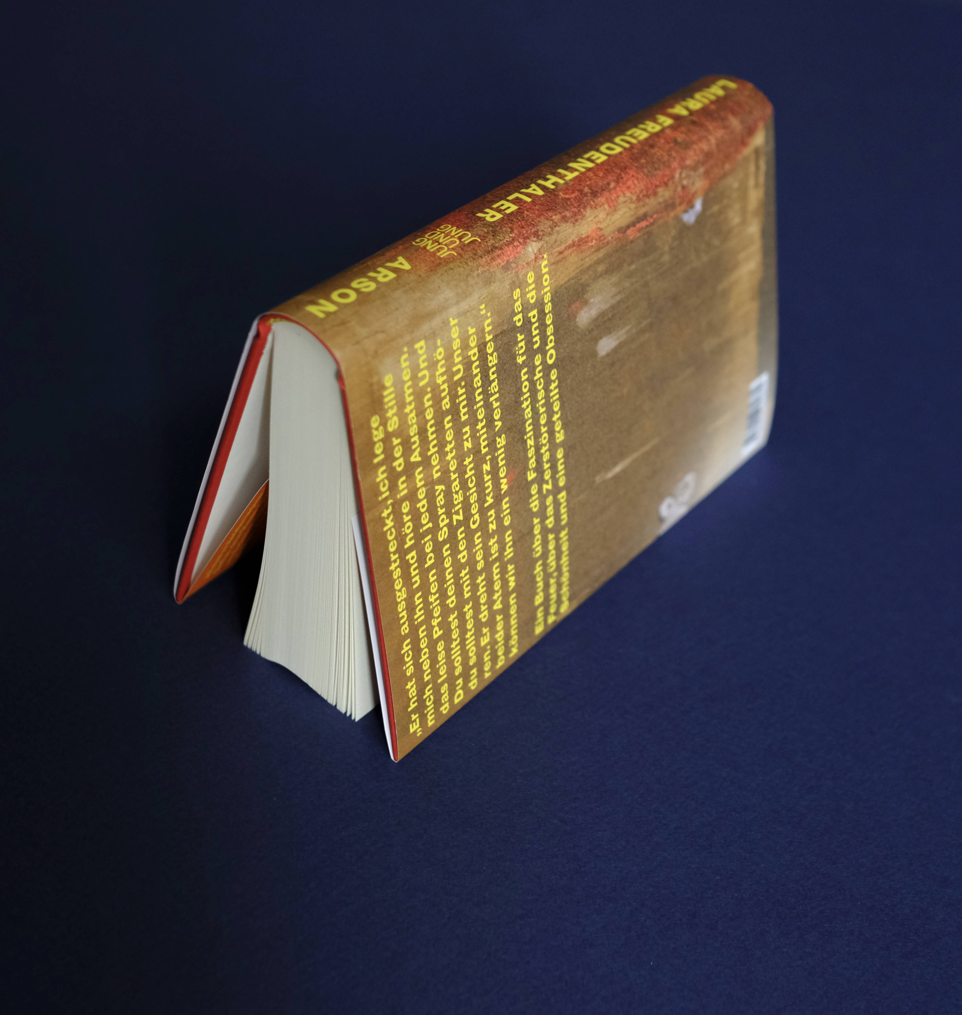 Back cover book: Front photo continuing. Short description overlayed in large yellow font.