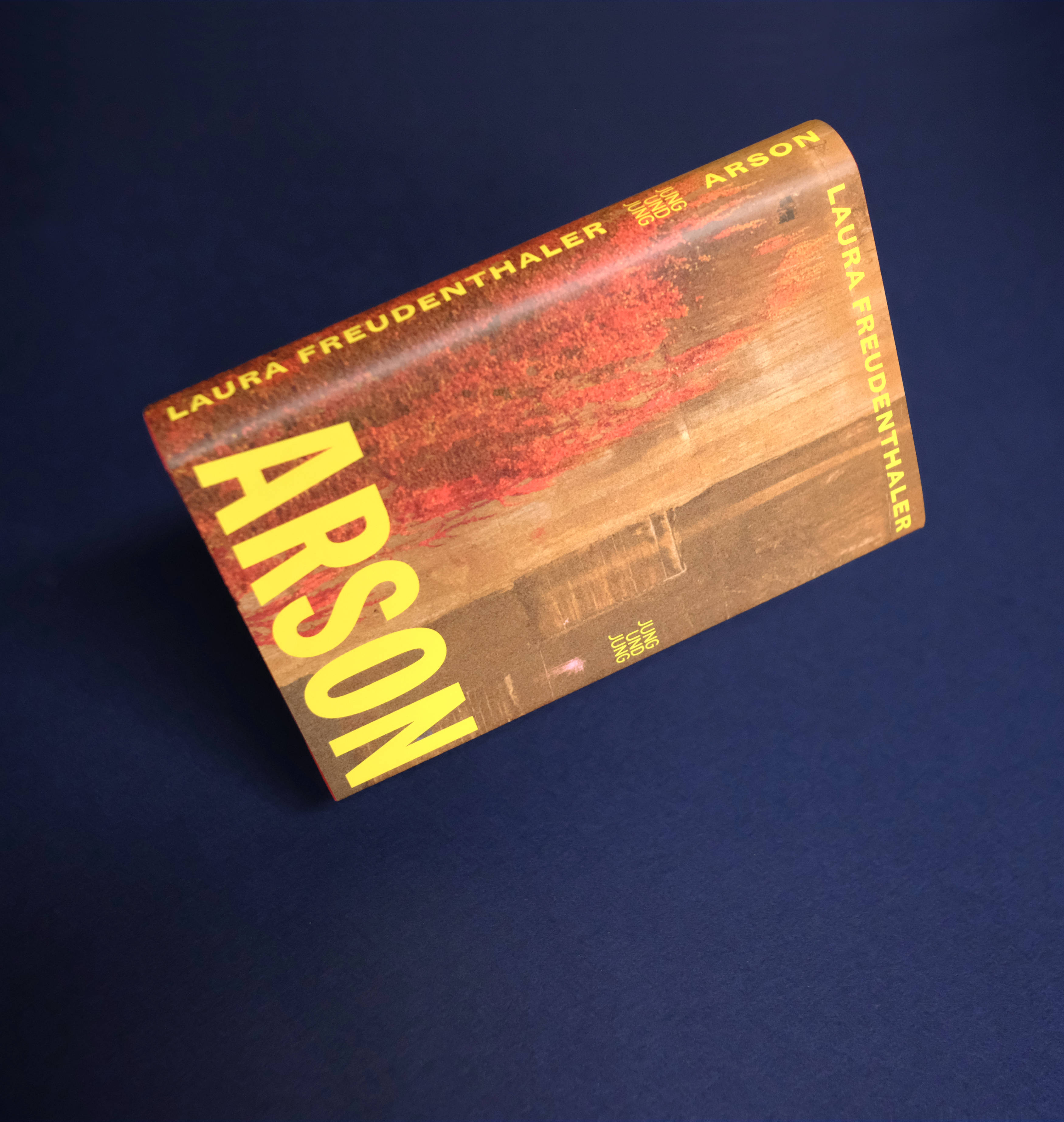 Front cover book: Photo of huge concrete wall. Partly virginia creeper in intense red tones growing on it. Title overlayed in bold yellow font.