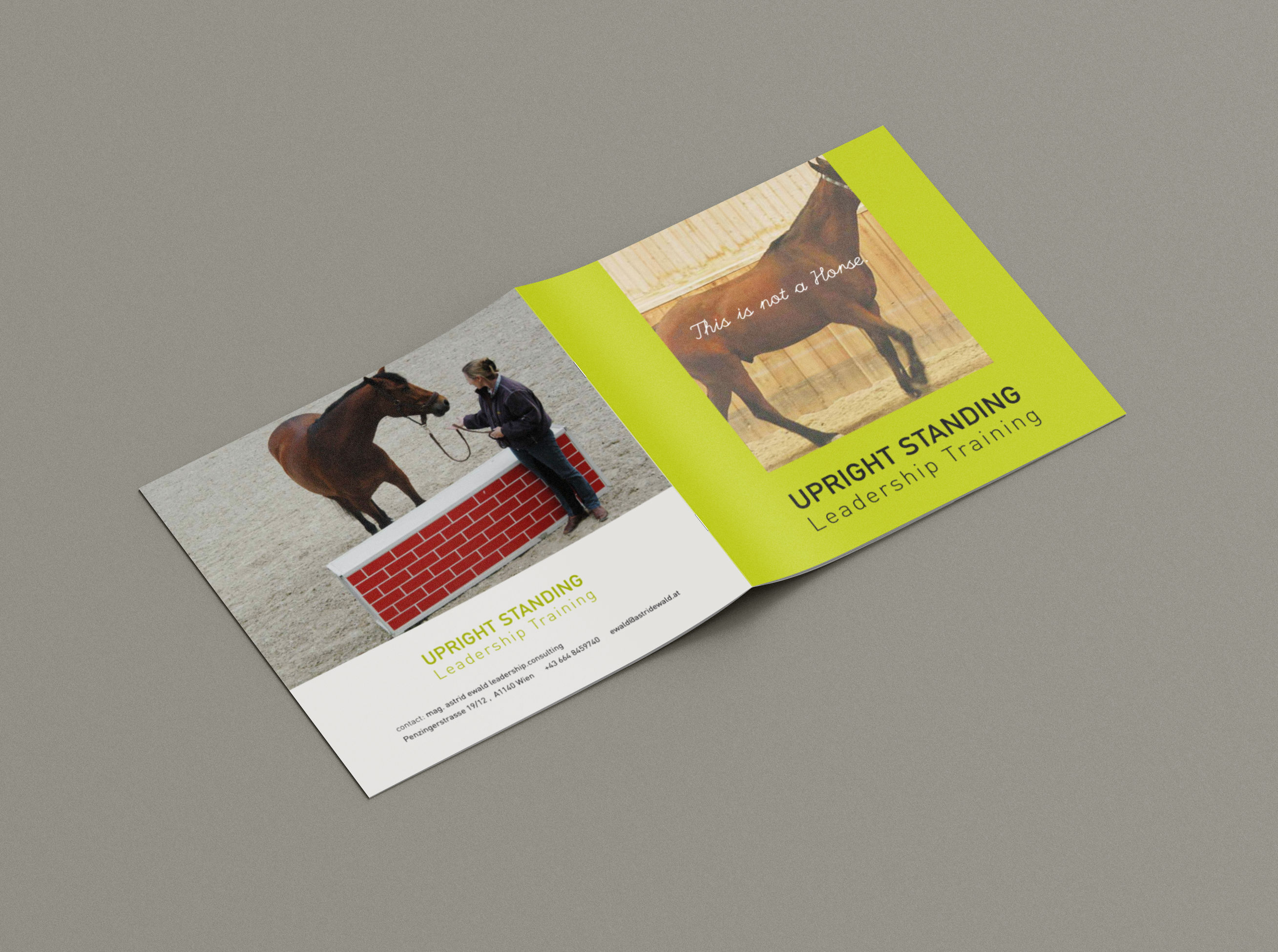 Cover of brochure. Cropped photo of a horse. Overlayed text: This is not a horse. Title placed under photo.