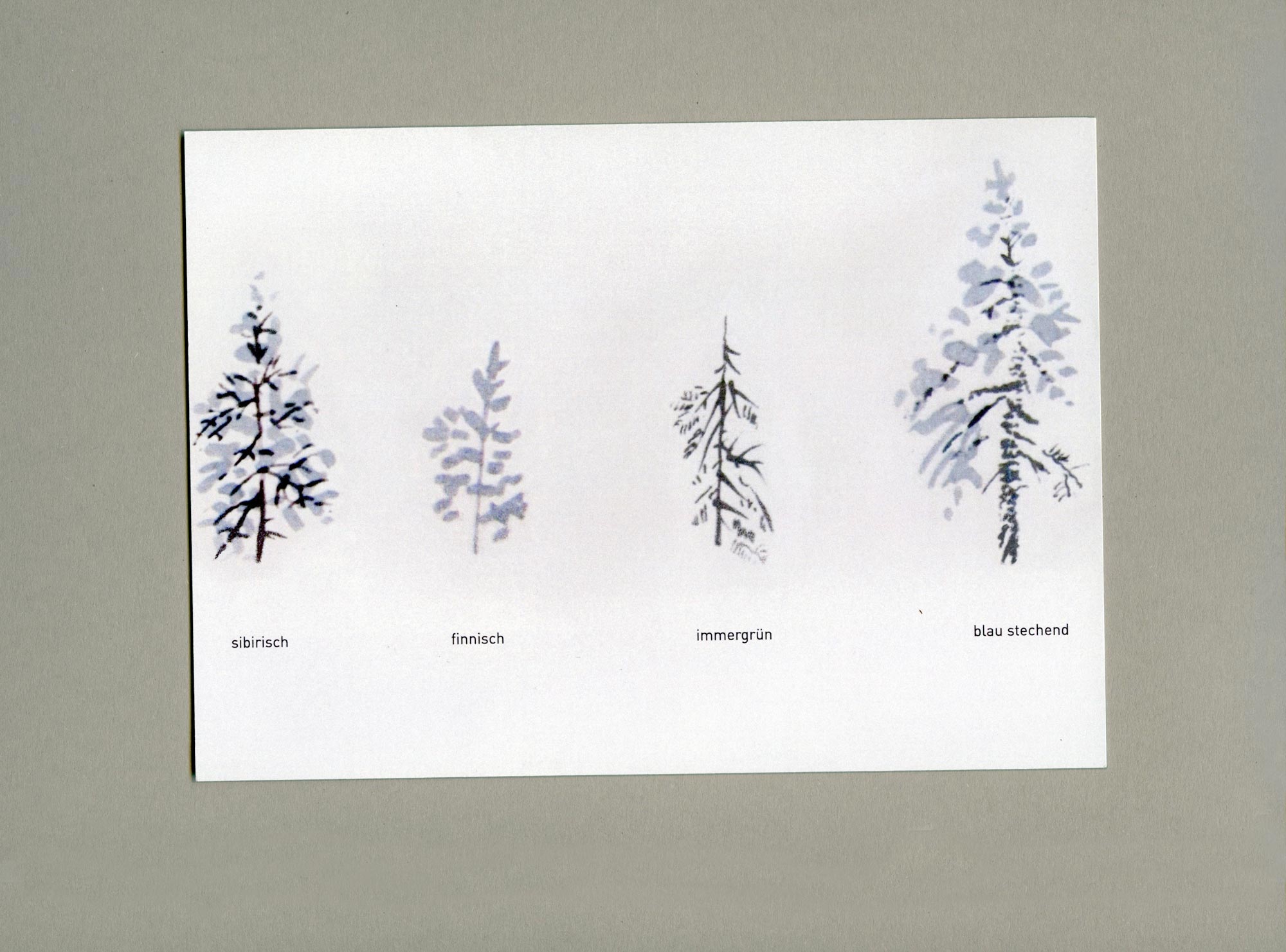 Greeting card. Illustration of 4 different trees. A word under each tree.