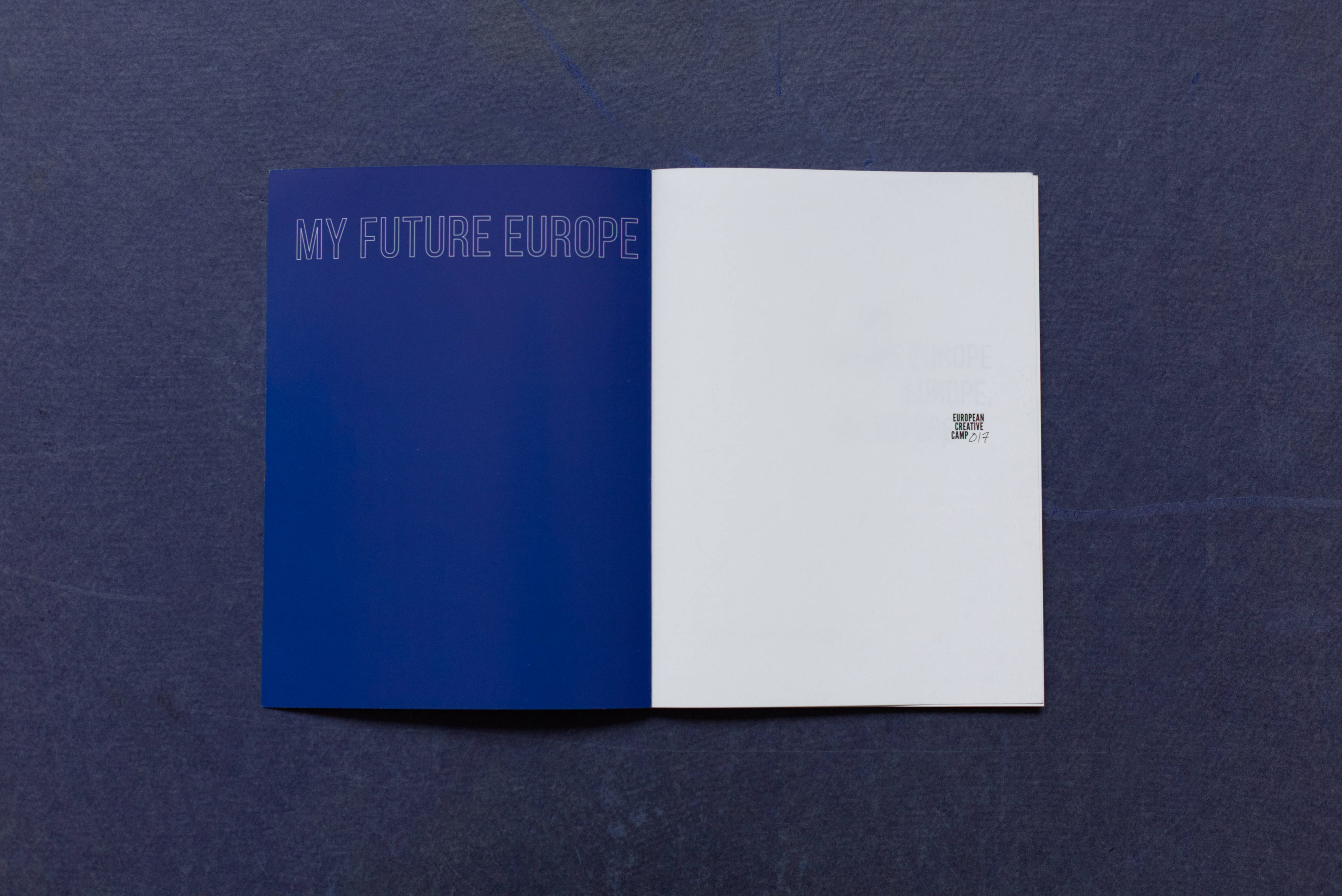 Double Page. Left: Blue inside of cover. Large outline font at top. Right: Blank page with small logo.
