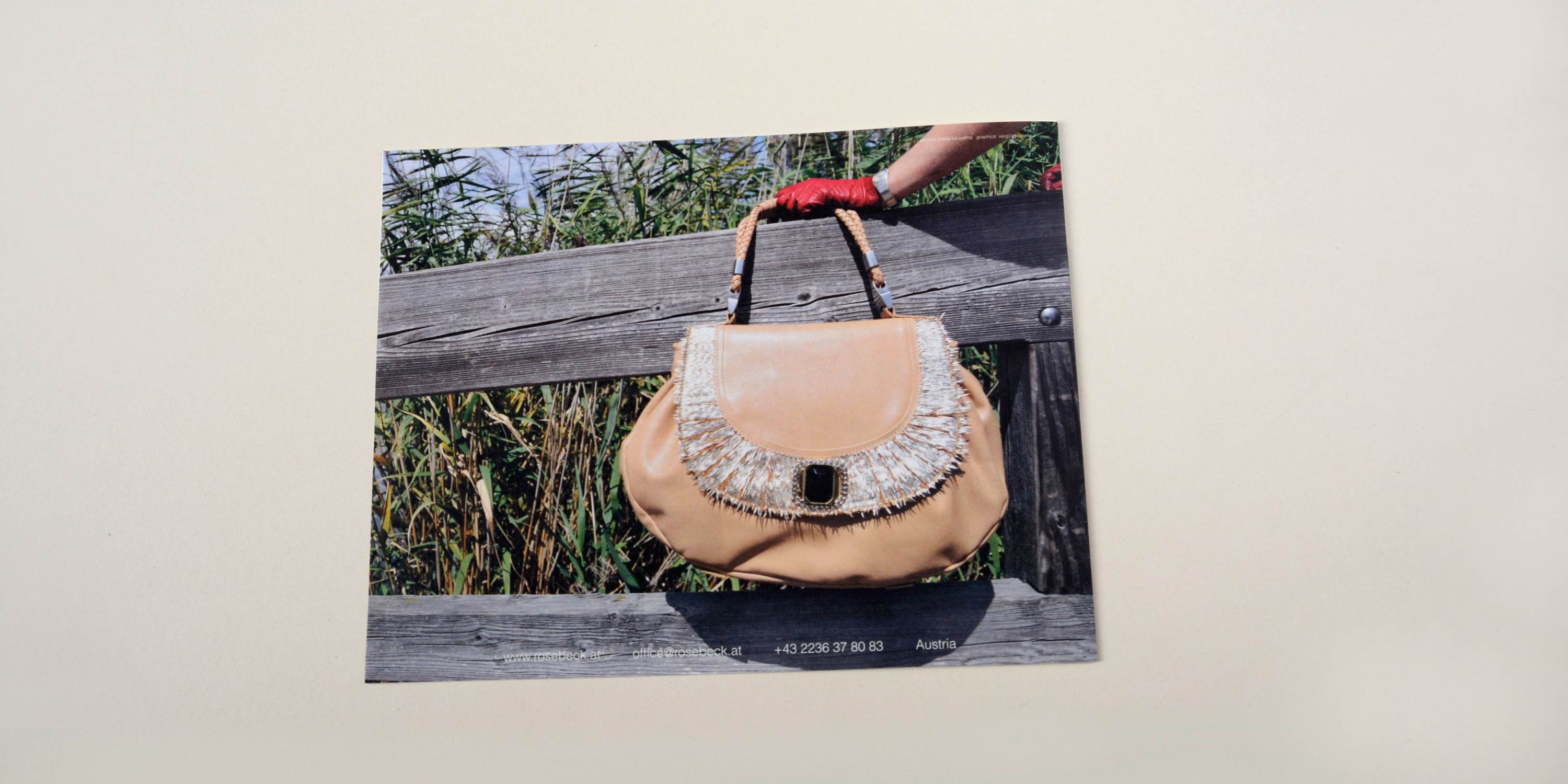 Cover back. Full-page photo hand holding large handbag in front of wooden railing. Reeds in the background. Row of small text at bottom overlayed.