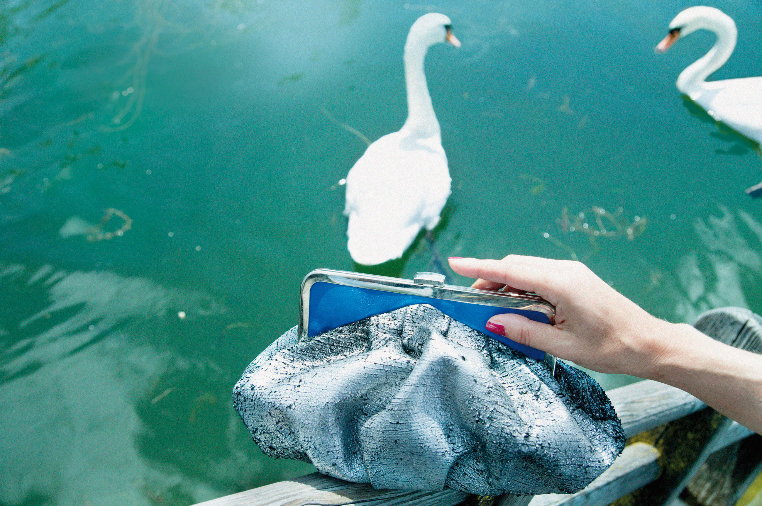 Hand holds handbag over wooden railing. Swans swimming in water in the background.