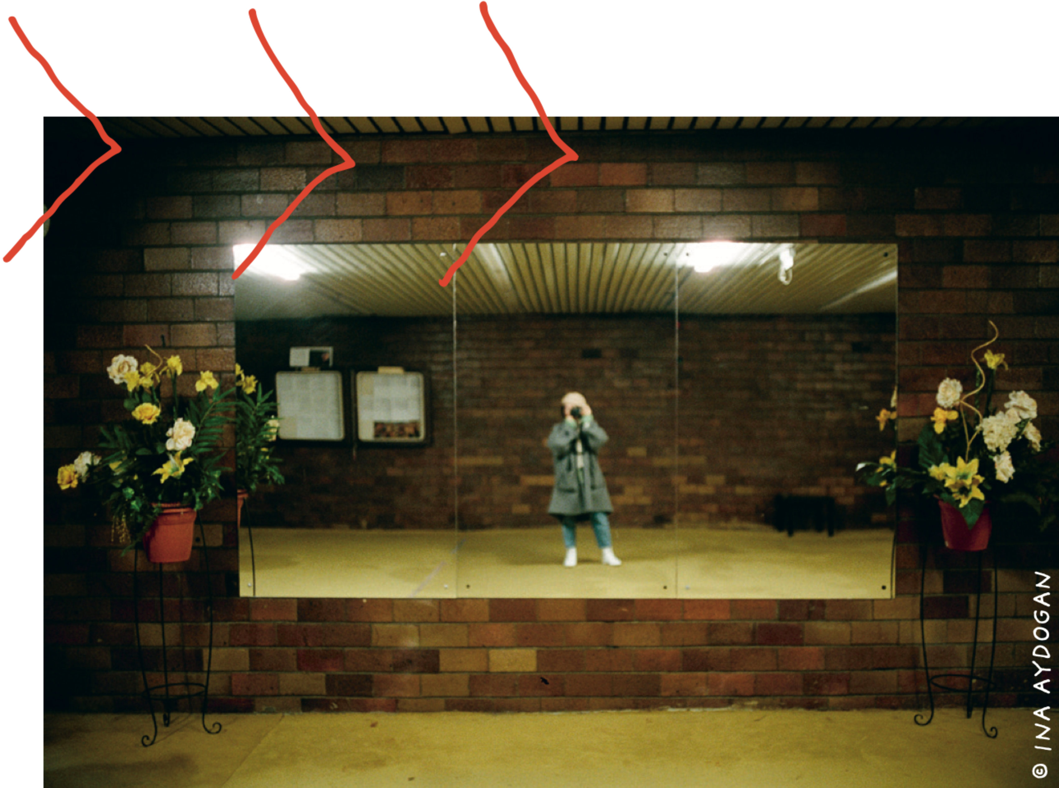 Photo overlayed with loose lines.