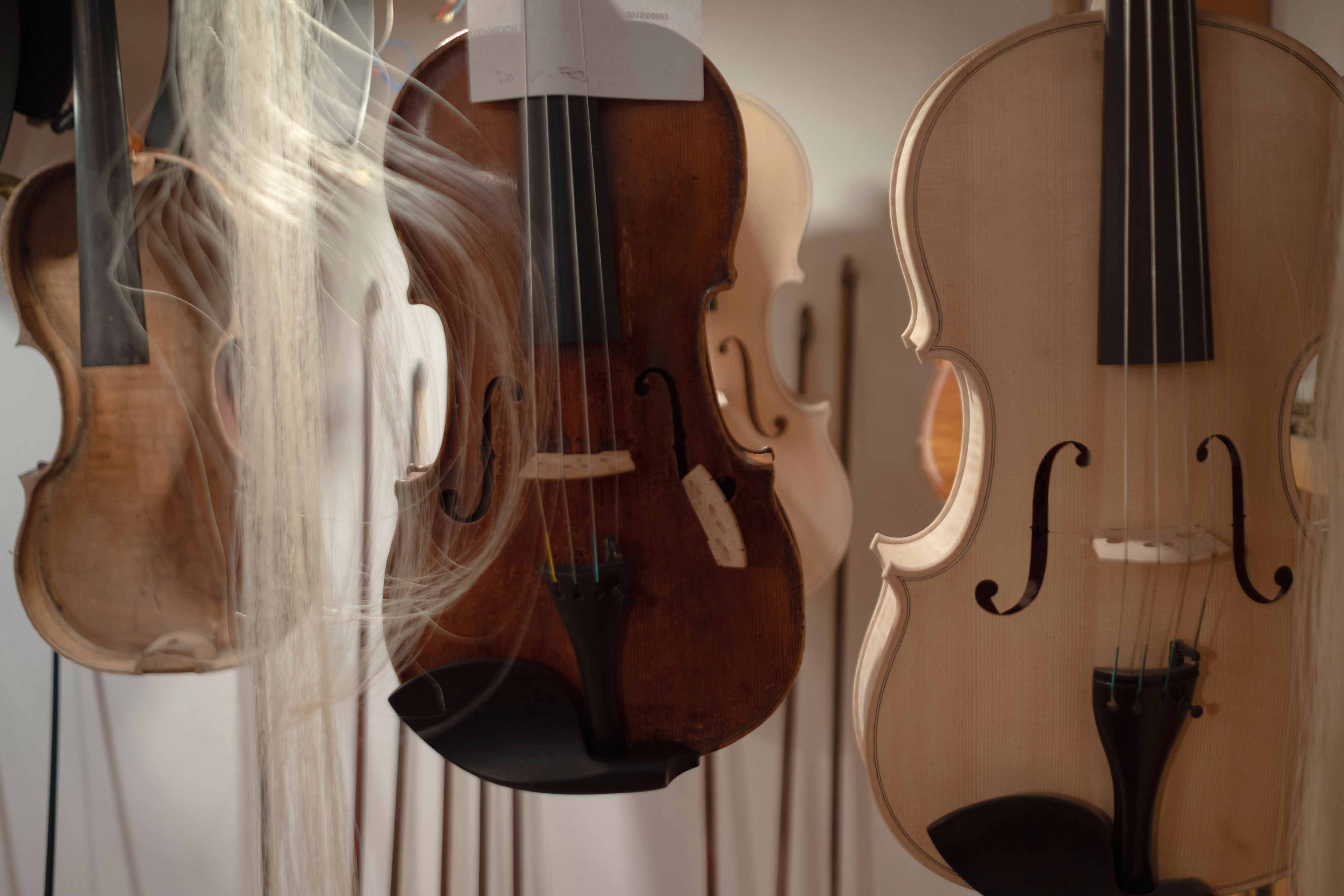 Inside violin maker's workshop. Unfinished Instruments hanging from the ceiling.